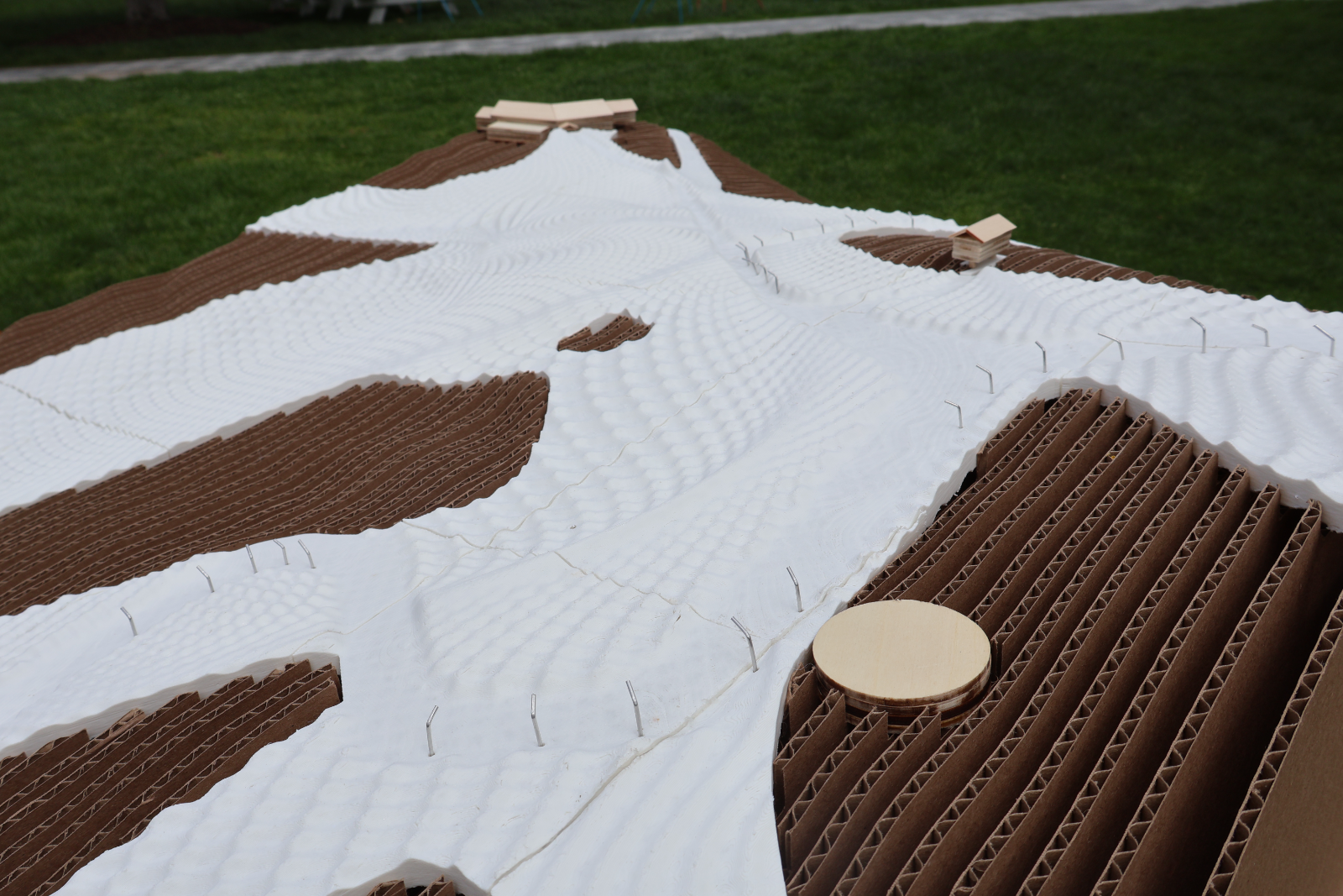 Filter landformed surface with the new See Forever boundary arriving into the Gondola station