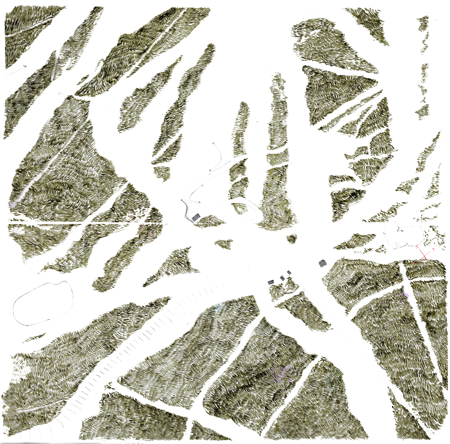 Forested zones drawn by hand on trace